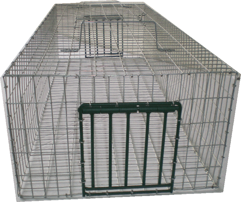 Cage de Capture Pigeons 